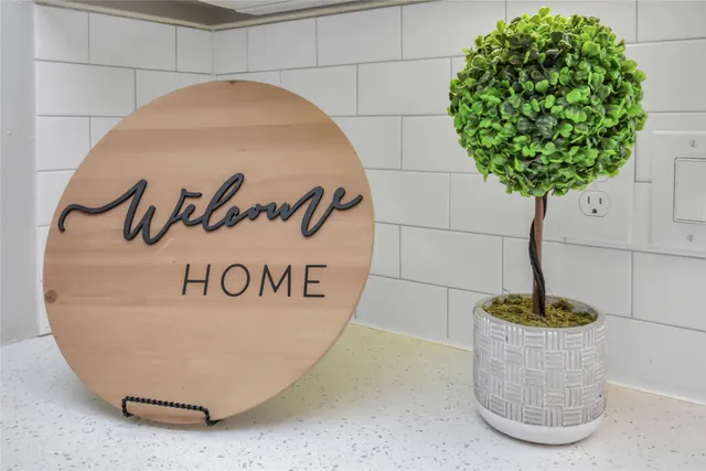 a view of a potted plant in a kitchen