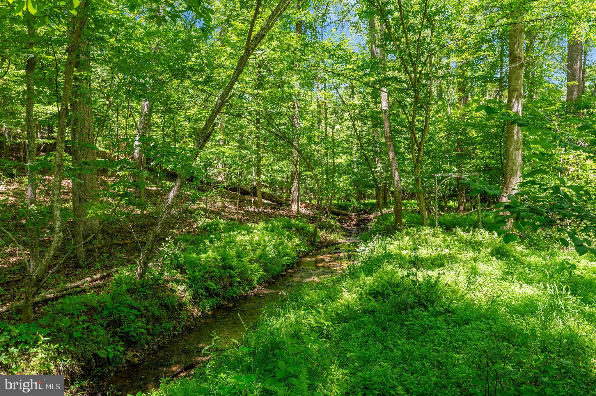 11408 Dutch Hollow Road Culpeper, VA 22701 - Photo 9 of 85 Stream/creek