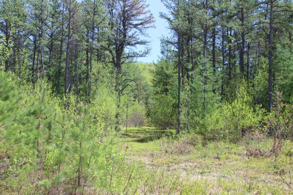 458 Spring Street Brownfield, ME 04010 - Photo 20 of 21 Photo