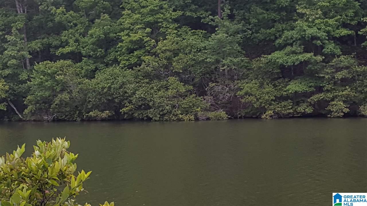 11-acres Deer Run Road, Unit 148330000001 010 Alabaster, AL 35007 - Photo 19 of 34