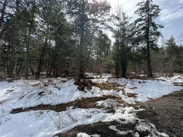 $96,500 | 3 Burdick Hill Road, Otego, NY 13825