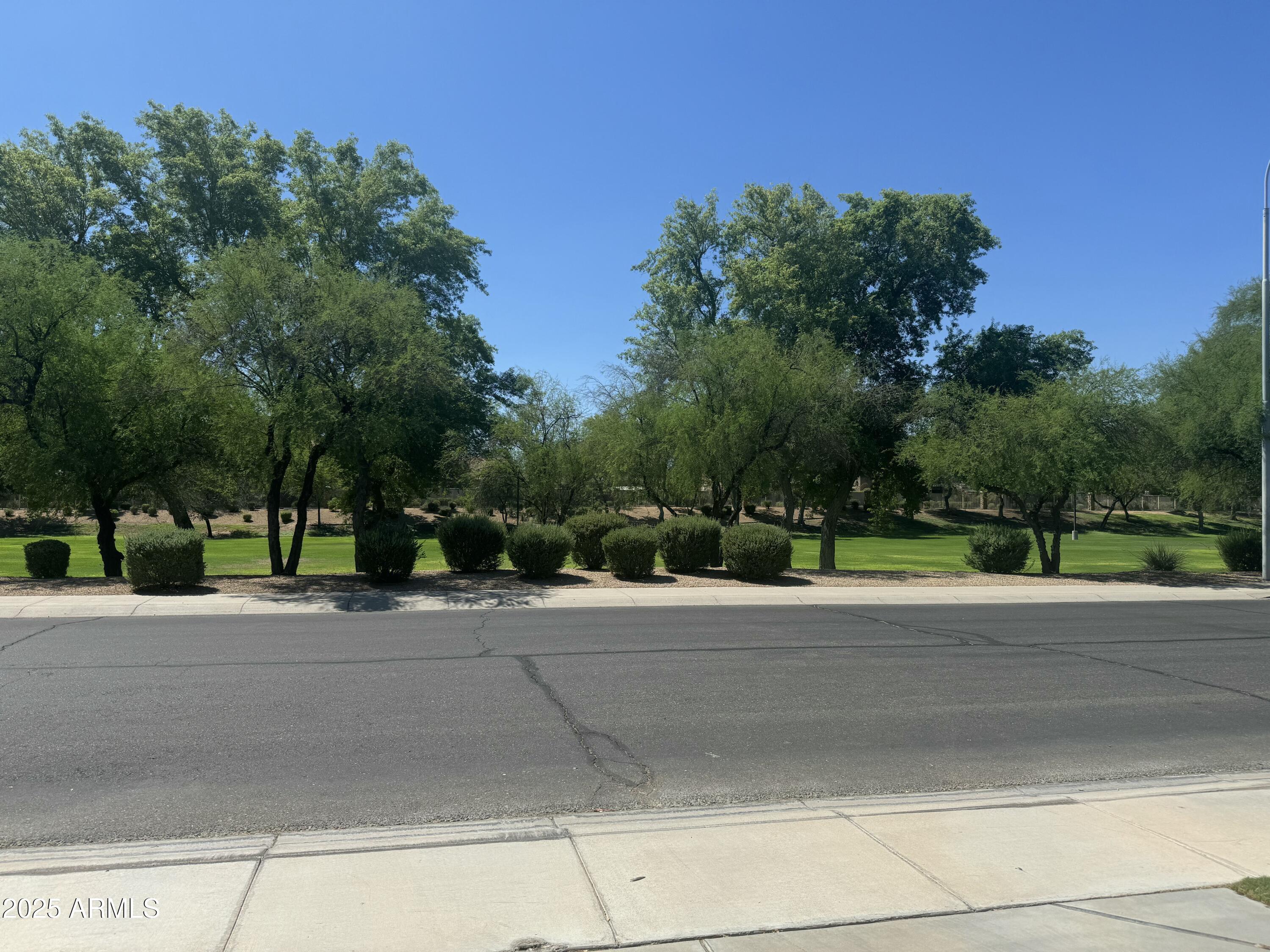 164 West Goldfinch Way Chandler, AZ 85286 - Photo 17 of 17 IMG_2648