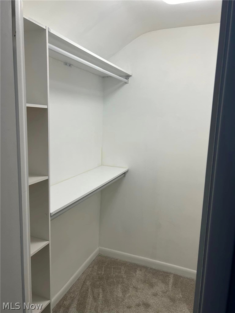 1112 Brainard Road Lyndhurst, OH 44124 - Photo 17 of 34 Walk in closet with carpet flooring