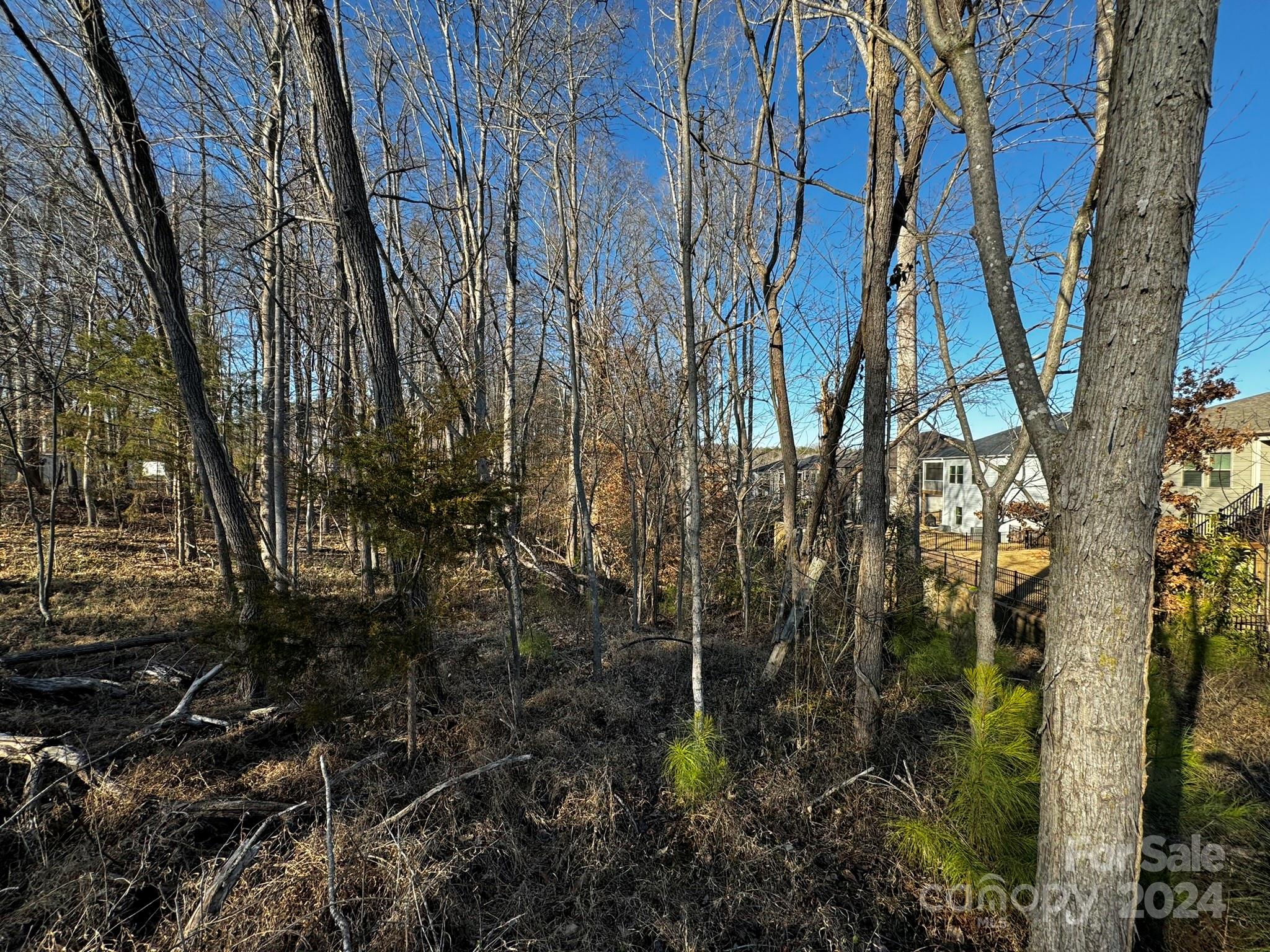 4650 Bright Road Charlotte, NC 28214 - Photo 14 of 16 a view of a yard