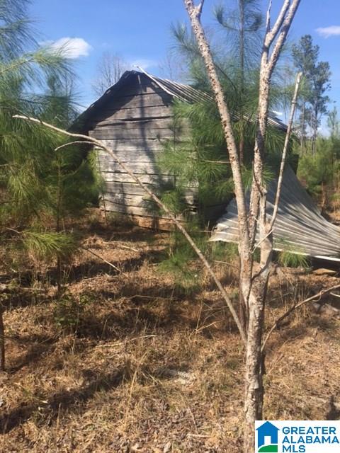 30 County Road, Unit 27 29 Cragford, AL 36255 - Photo 4 of 7
