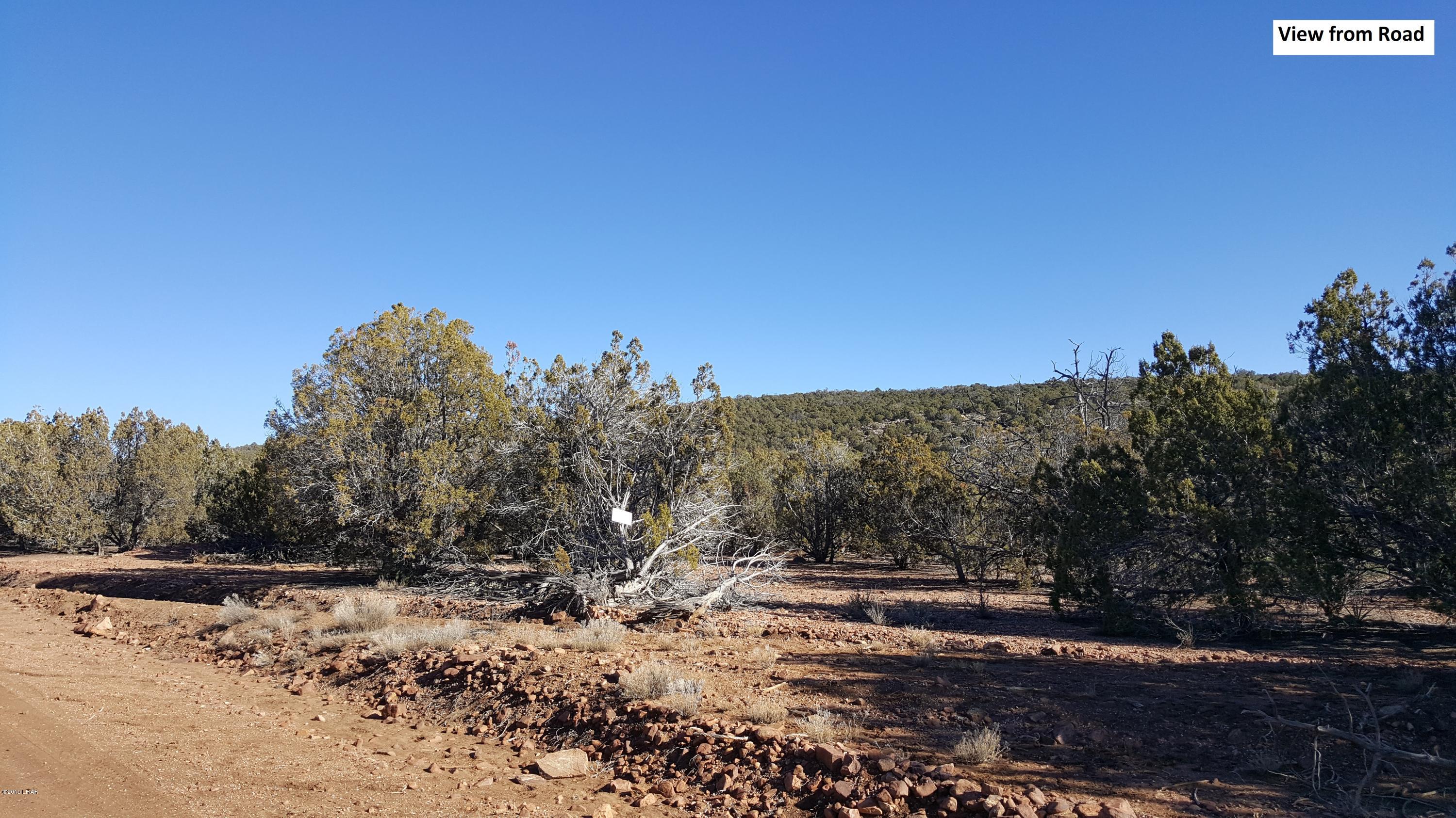 7 Unit Ranch Kingman, AZ 86401 - Photo 1 of 13 20190110_105000edited
