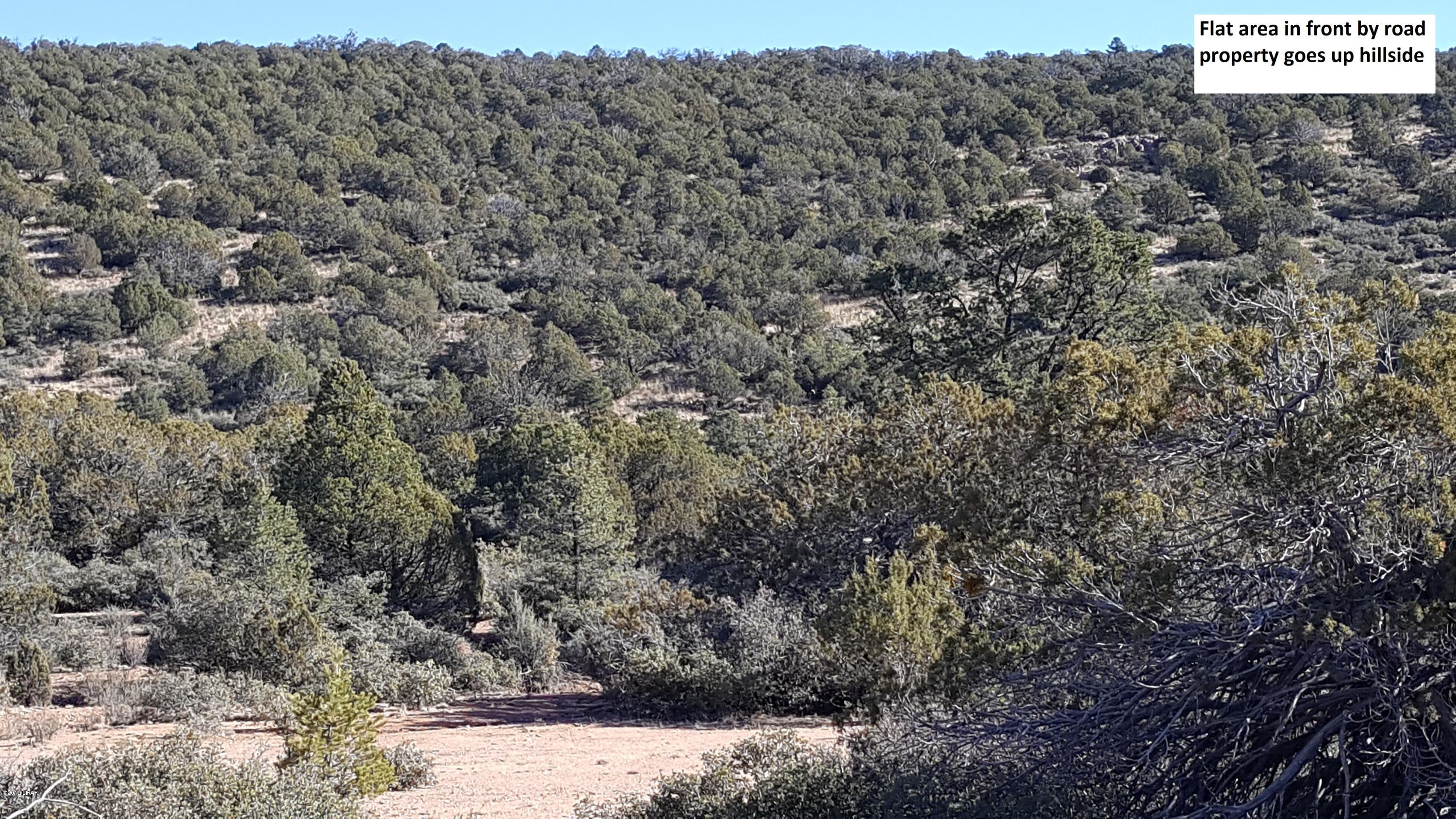 7 Unit Ranch Kingman, AZ 86401 - Photo 2 of 13 20190110_105335edited