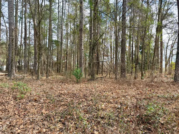 $13,900 | 0 Vanest Road, Ridge Spring, SC 29129