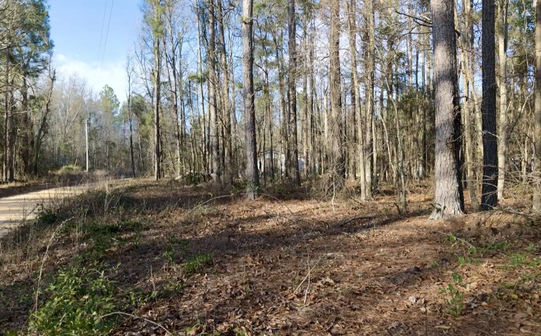 0 Vanest Road Ridge Spring, SC 29129 - Photo 6 of 7 IMG_2767