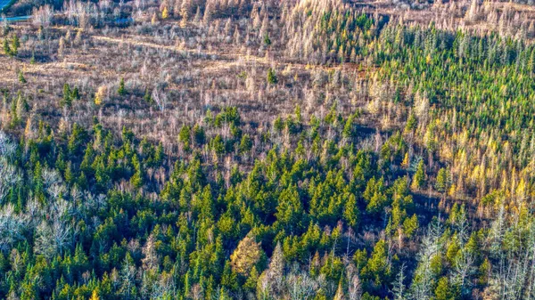 $1 | Tbd Dora Lake Road, Northome, MN 56661