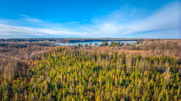 $1 | Tbd Dora Lake Road, Northome, MN 56661