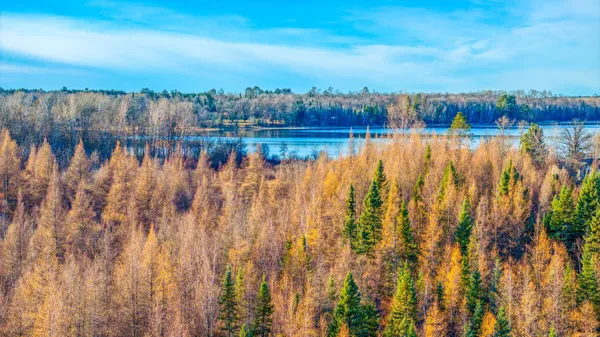 $1 | Tbd Dora Lake Road, Northome, MN 56661