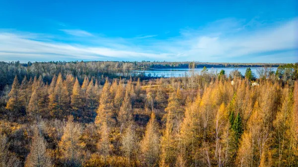 $1 | Tbd Dora Lake Road, Northome, MN 56661