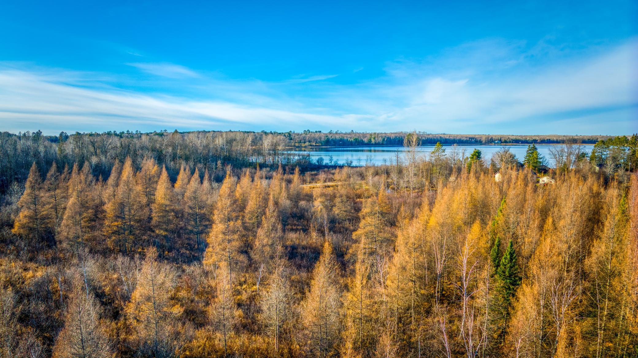 Tbd Dora Lake Road Northome, MN 56661 - Photo 21 of 58