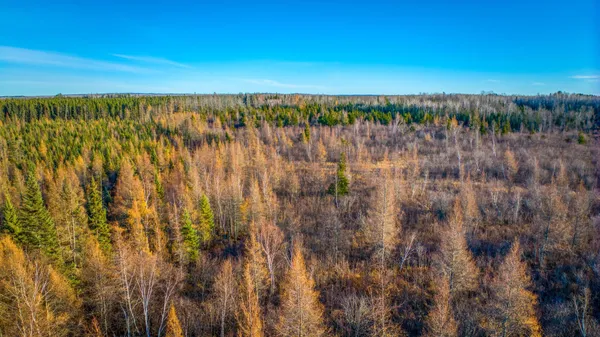 $1 | Tbd Dora Lake Road, Northome, MN 56661