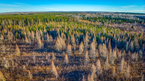 $1 | Tbd Dora Lake Road, Northome, MN 56661