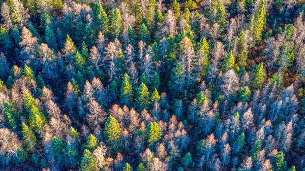 $1 | Tbd Dora Lake Road, Northome, MN 56661