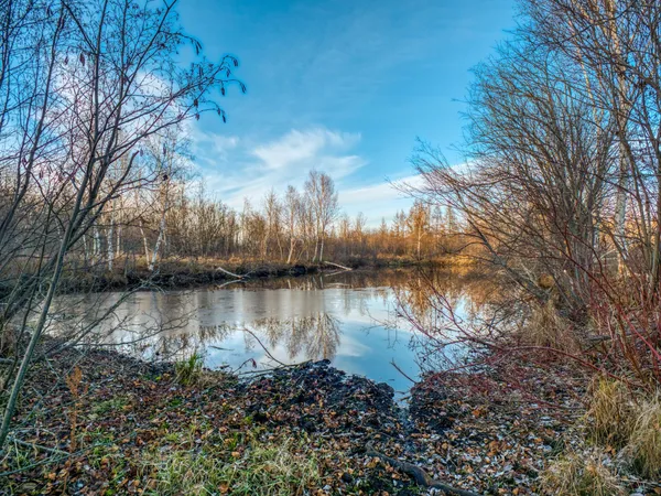 $1 | Tbd Dora Lake Road, Northome, MN 56661