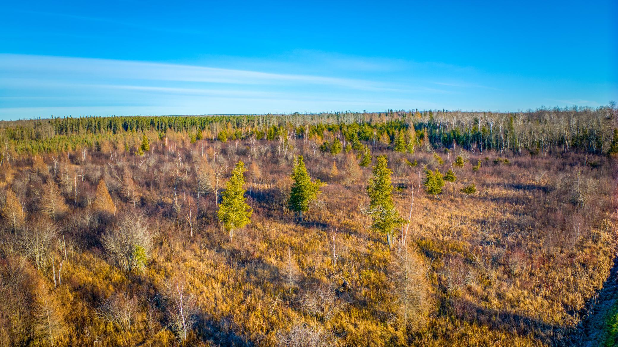 Tbd Dora Lake Road Northome, MN 56661 - Photo 43 of 58