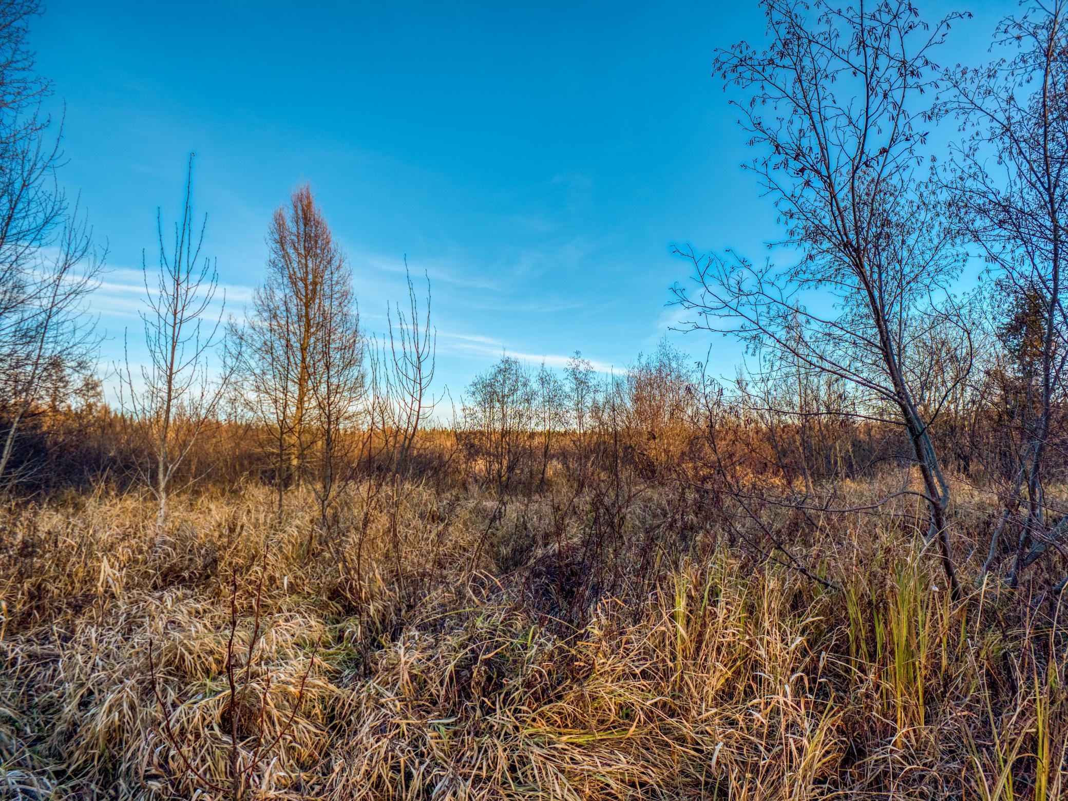 Tbd Dora Lake Road Northome, MN 56661 - Photo 5 of 58