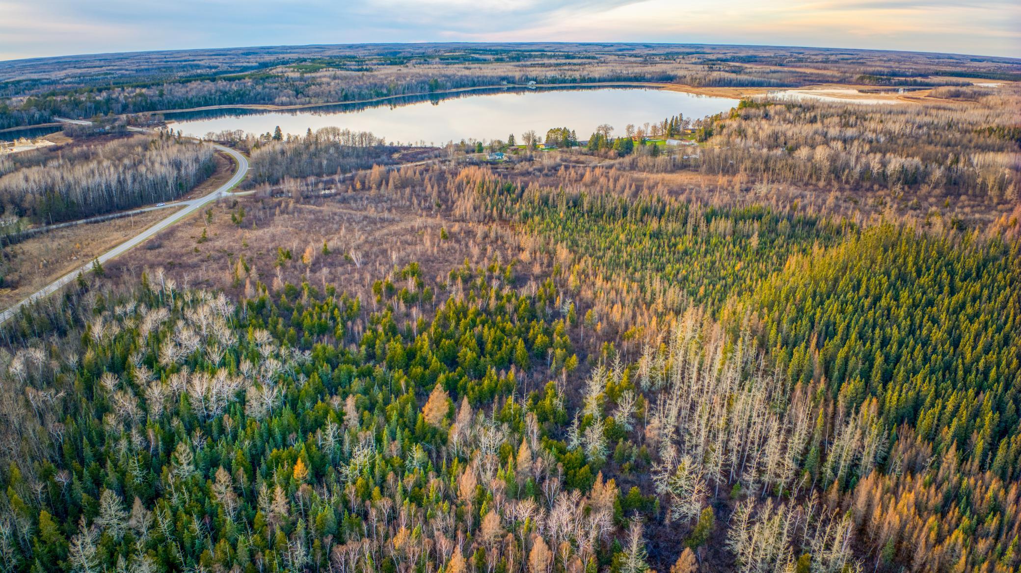 Tbd Dora Lake Road Northome, MN 56661 - Photo 52 of 58