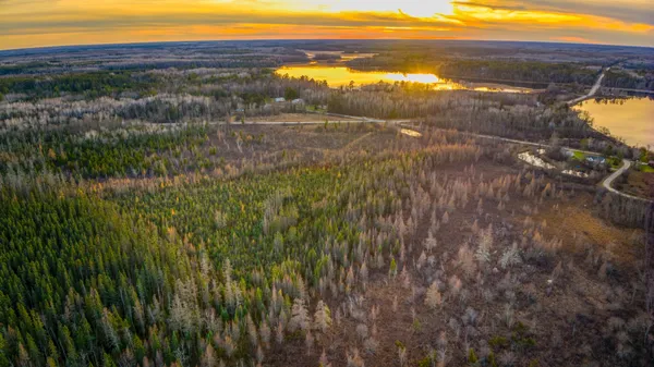 $1 | Tbd Dora Lake Road, Northome, MN 56661