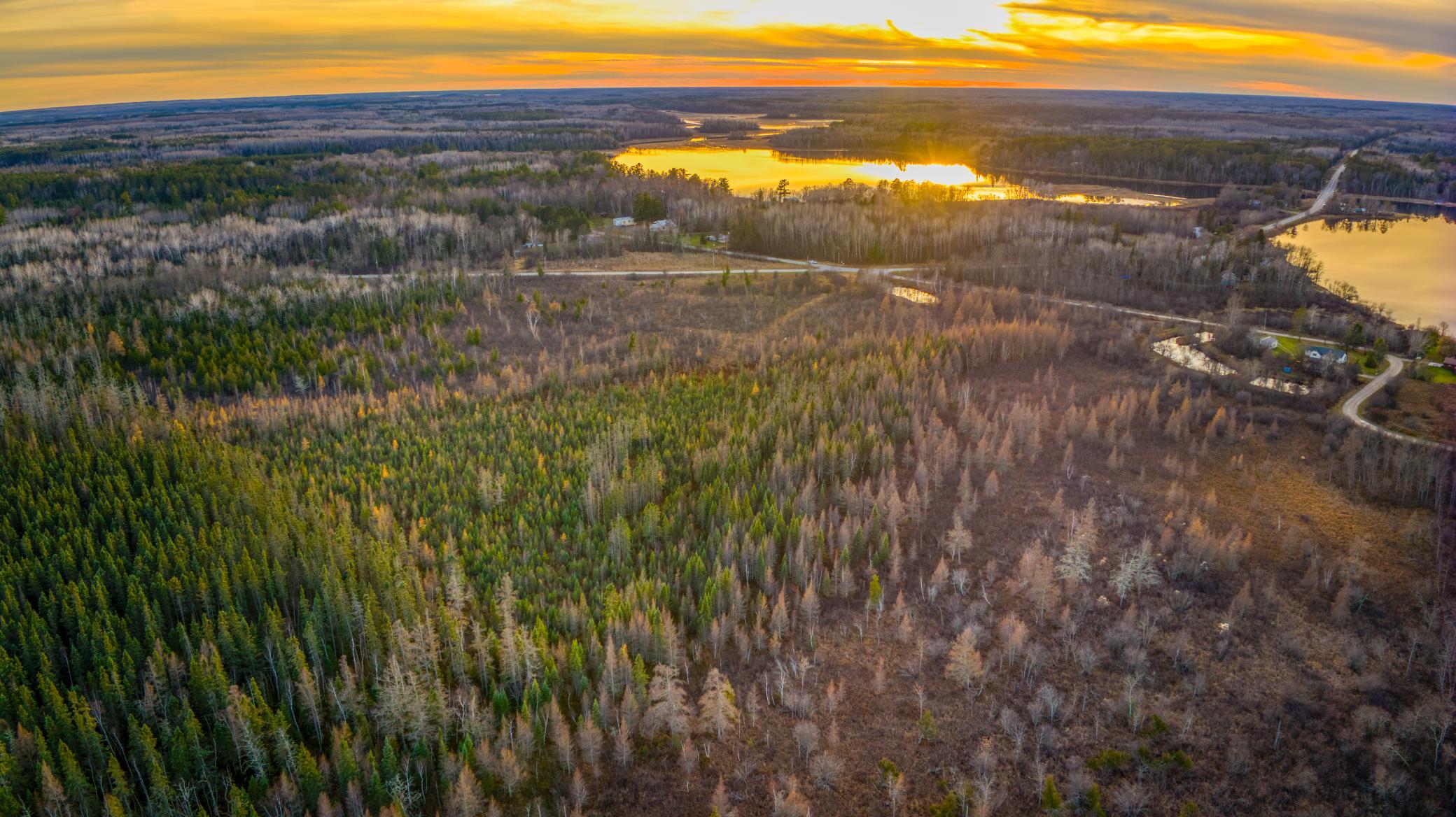 Tbd Dora Lake Road Northome, MN 56661 - Photo 53 of 58