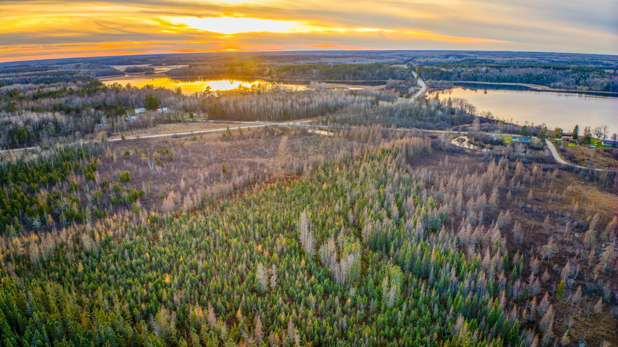 Tbd Dora Lake Road Northome, MN 56661 - Photo 58 of 58