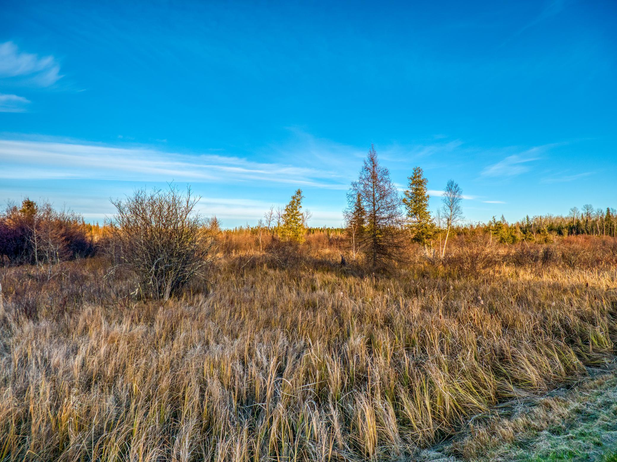 Tbd Dora Lake Road Northome, MN 56661 - Photo 7 of 58