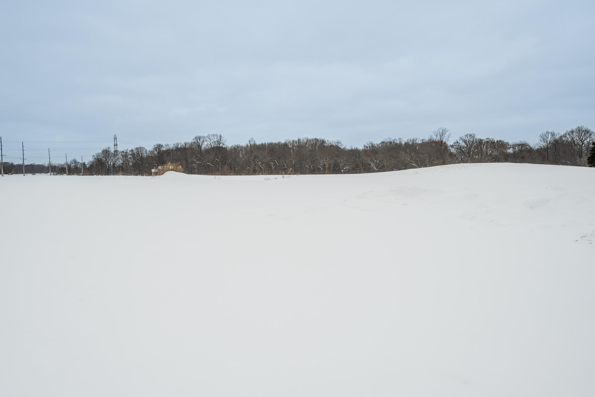 2035 Jasper Dairy Road Berrien Springs, MI 49103 - Photo 39 of 42 Jasper Dairy-139