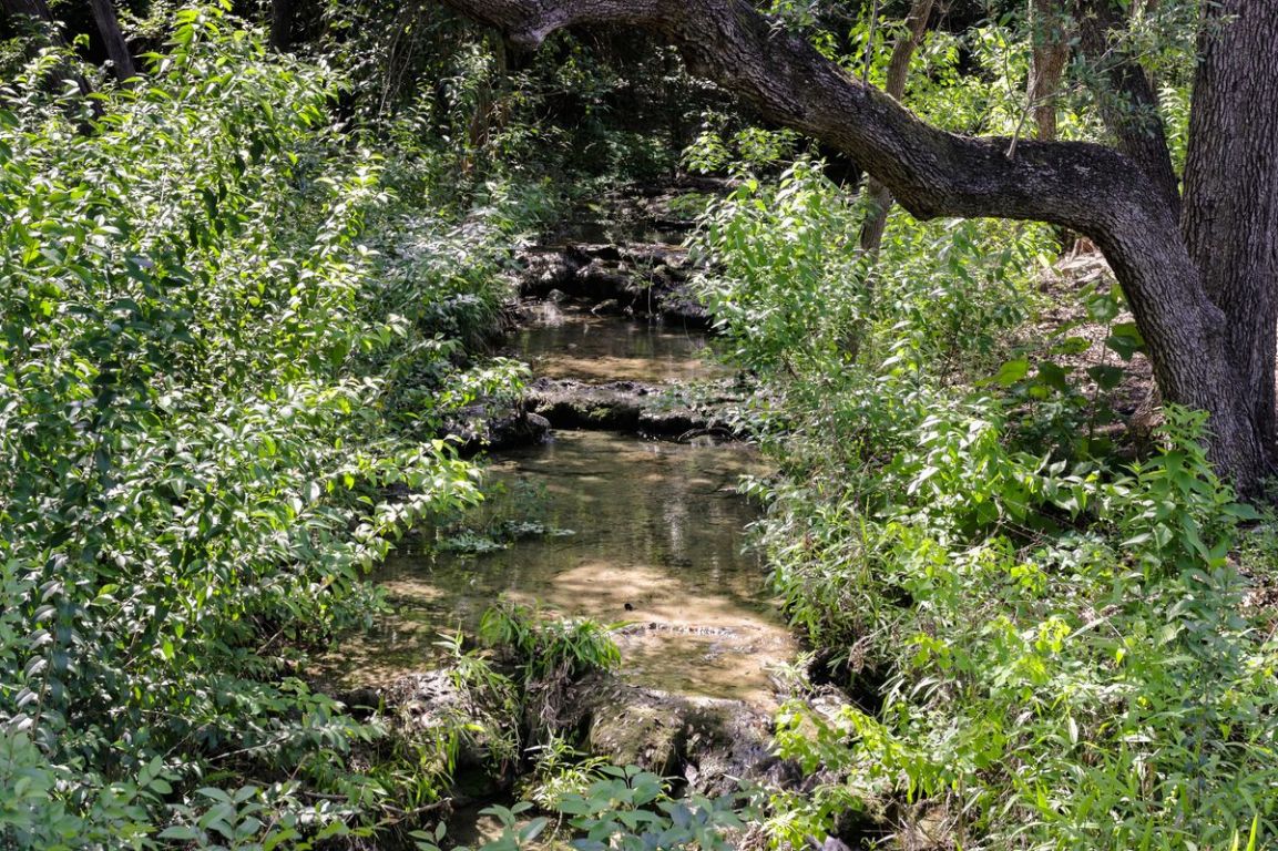 506 Konstanty Circle Austin, TX 78746 - Photo 22 of 23 a view of a tree in a garden
