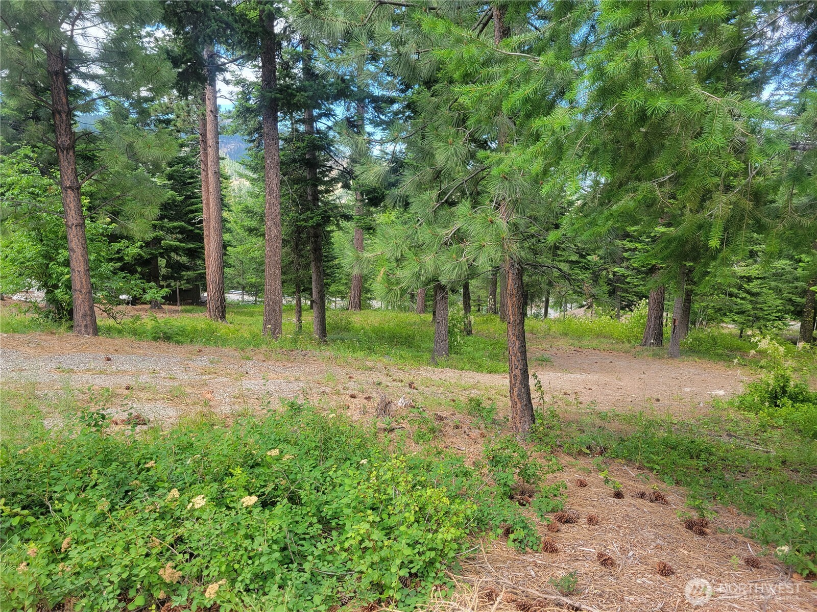 6757 Forest Ridge Drive Wenatchee, WA 98801 - Photo 1 of 4