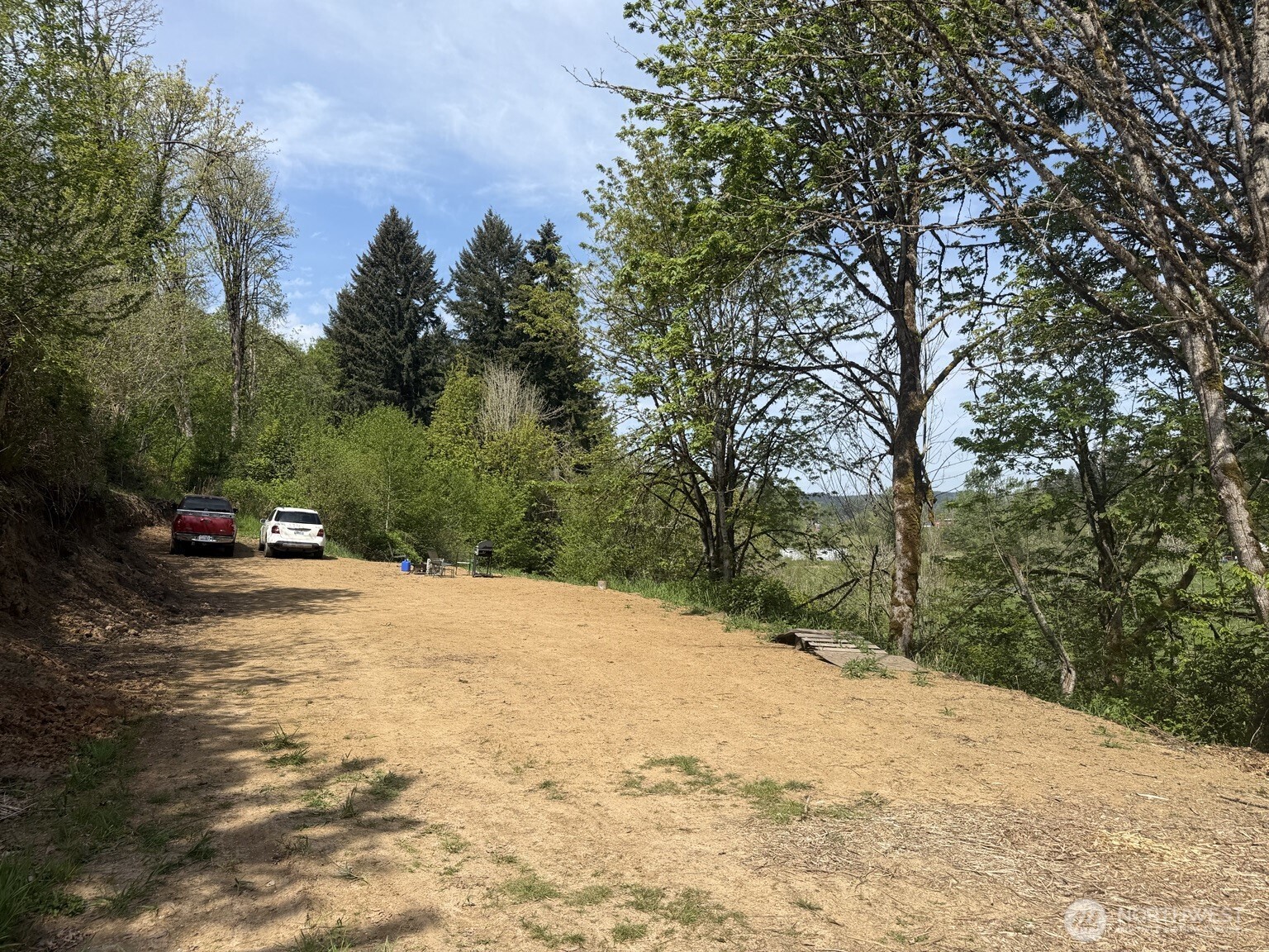 0 Roswell Road Centralia, WA 98531 - Photo 2 of 5 a street view along with trees