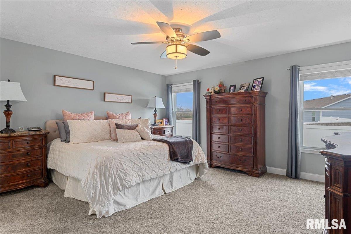 536 Karen Rose Drive Rochester, IL 62563 - Photo 19 of 41