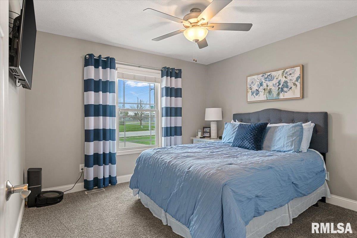 536 Karen Rose Drive Rochester, IL 62563 - Photo 25 of 41