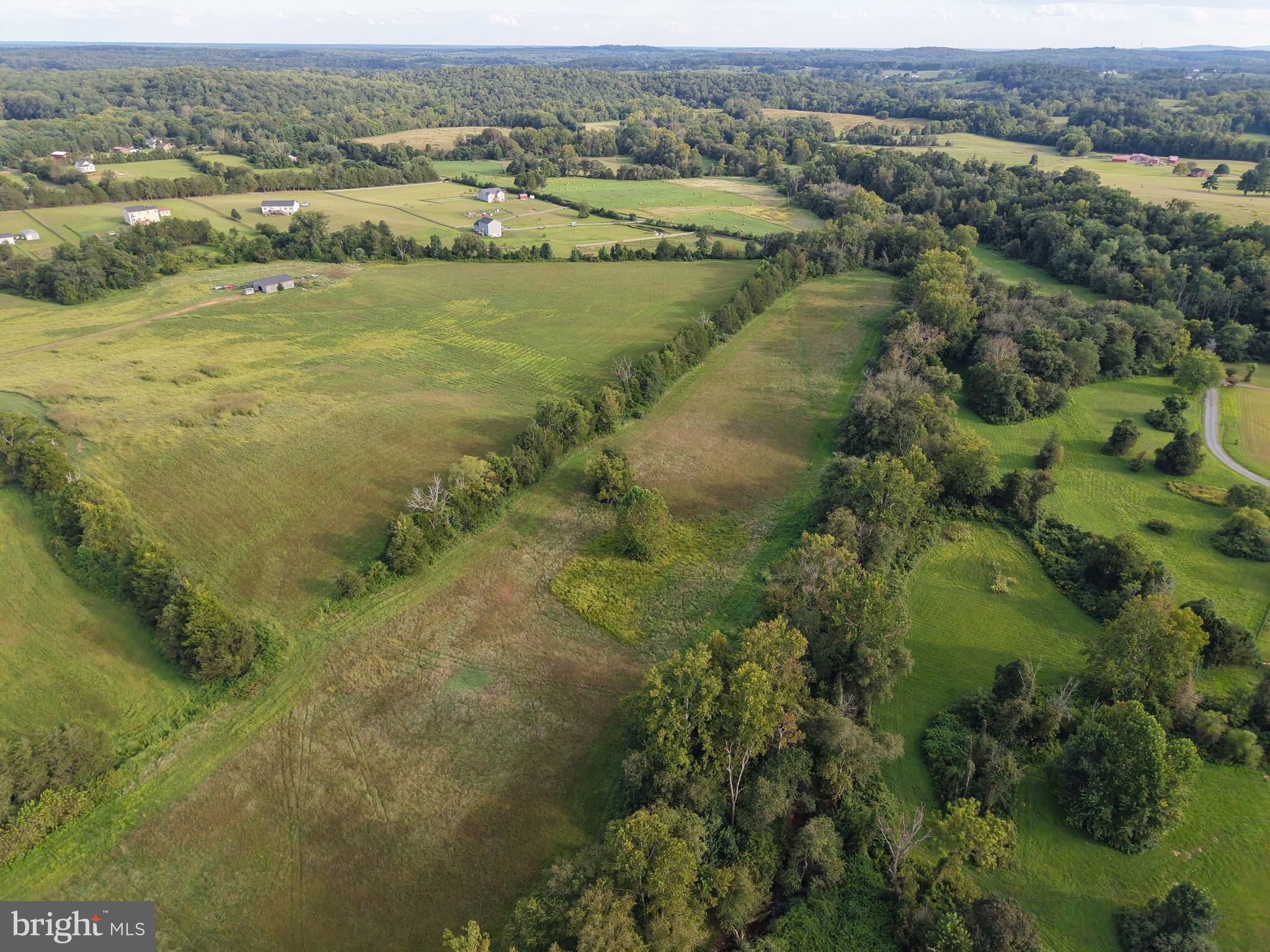 Oak Shade Rixeyville, VA 22737 - Photo 7 of 12