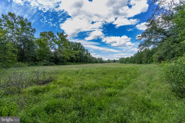 $338,000 | Oak Shade, Rixeyville, VA 22737