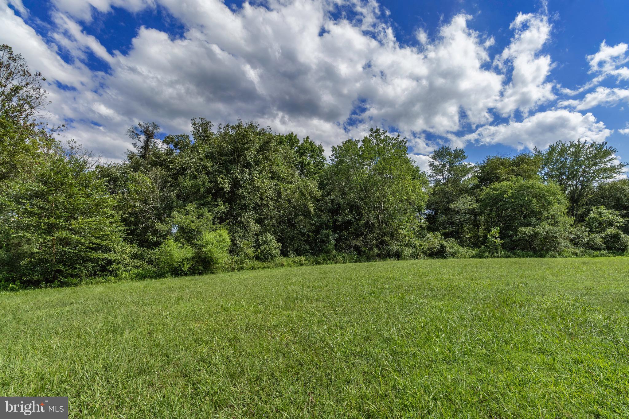 Oak Shade Rixeyville, VA 22737 - Photo 10 of 12
