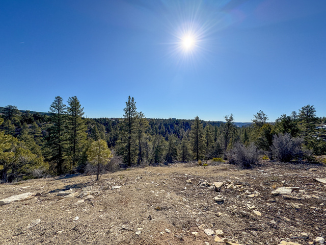 17 West Pine Street, Unit 17 Orderville, UT 84758 - Photo 12 of 15 View of wooded area