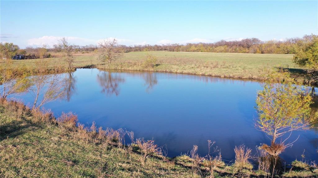 0 Tbd Fm 272 Celeste, TX 75423 - Photo 11 of 15