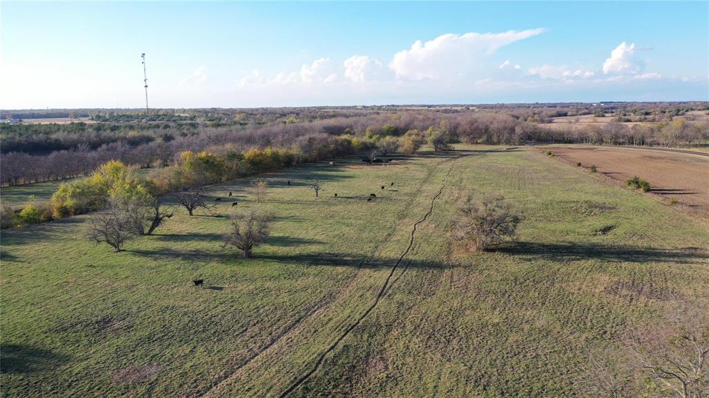 0 Tbd Fm 272 Celeste, TX 75423 - Photo 13 of 15