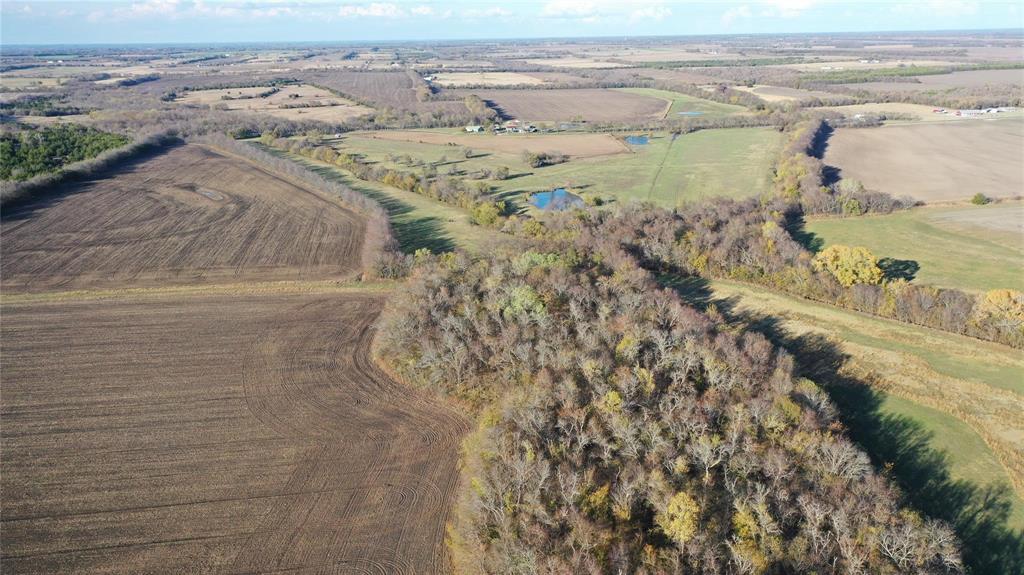 0 Tbd Fm 272 Celeste, TX 75423 - Photo 4 of 15