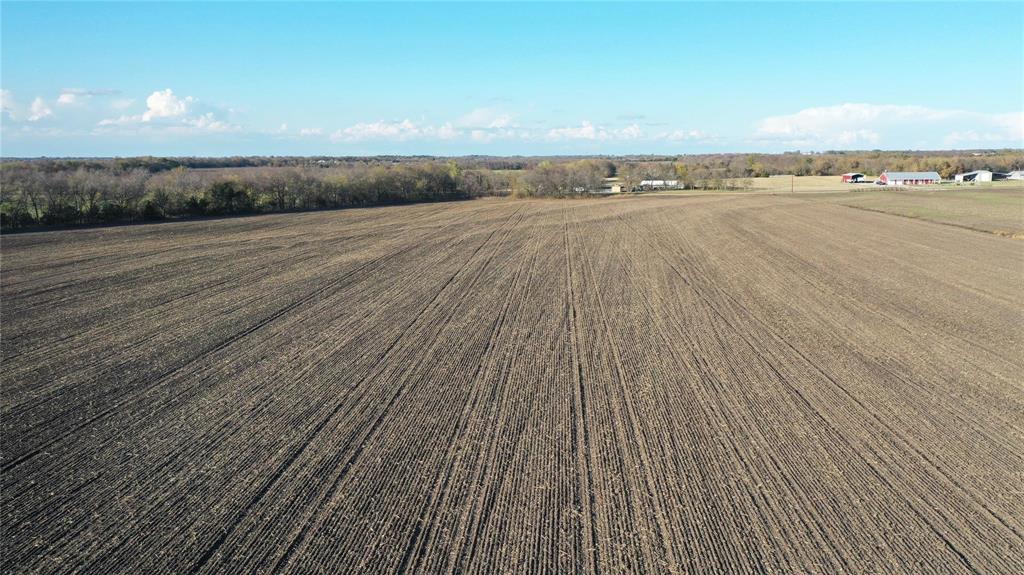 0 Tbd Fm 272 Celeste, TX 75423 - Photo 8 of 15