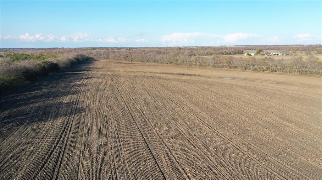 0 Tbd Fm 272 Celeste, TX 75423 - Photo 9 of 15