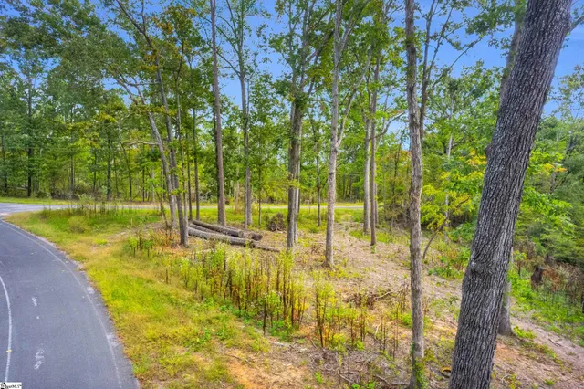 $65,000 | 0 Lake Overlook Road, Waterloo, SC 29384