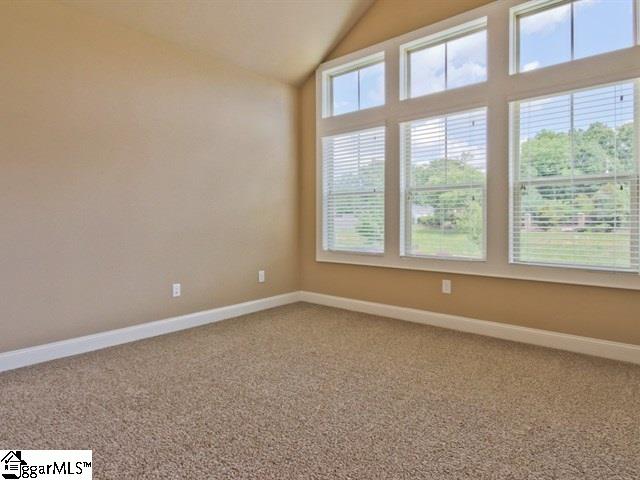 1 Wild Indigo Circle Greenville, SC 29607 - Photo 25 of 36