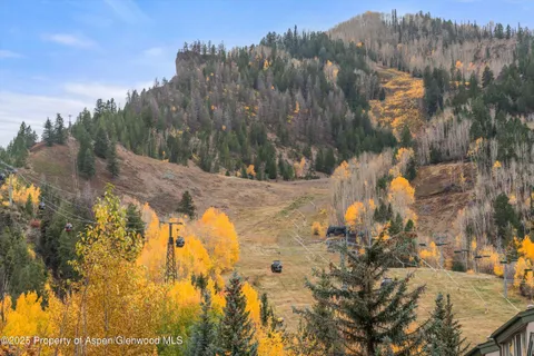 a view of a yard with trees