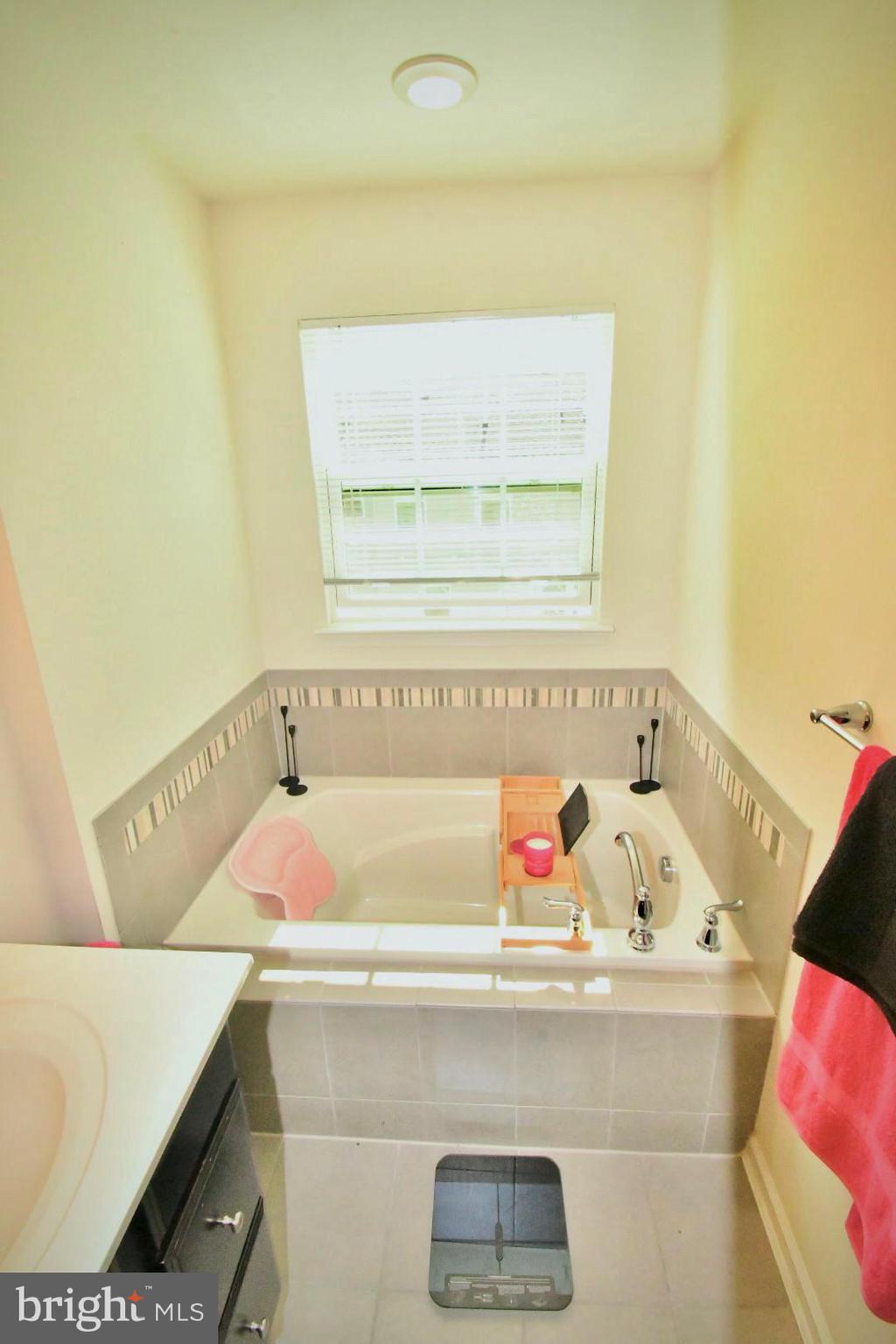 654 Barrie Road Middletown, DE 19709 - Photo 17 of 26 Soaking Tub in Master Bathroom