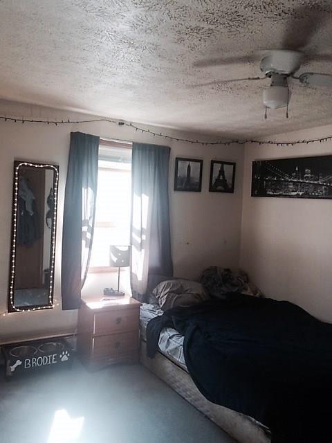 26 Webster Street Springvale, ME 04083 - Photo 16 of 23 Photo