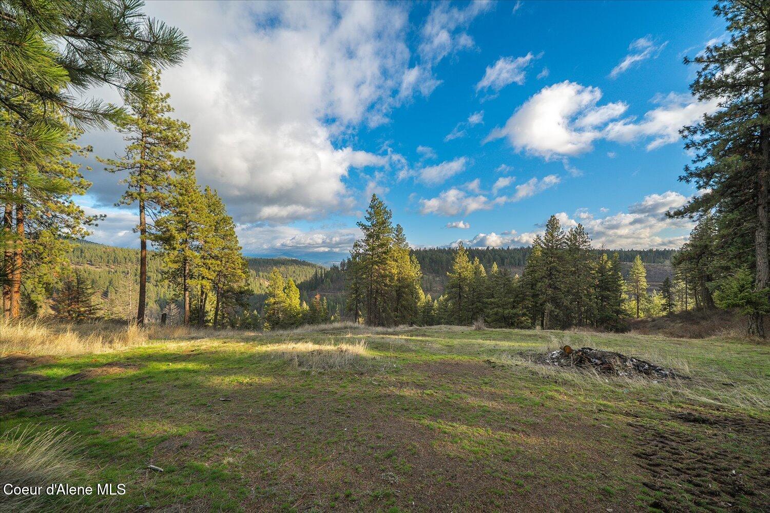 1635 Canyon Ridge Lane Plummer, ID 83851 - Photo 42 of 80 41-1635 Canyon Ridge Ln-039